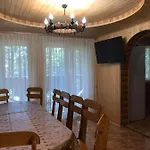 ялинка *