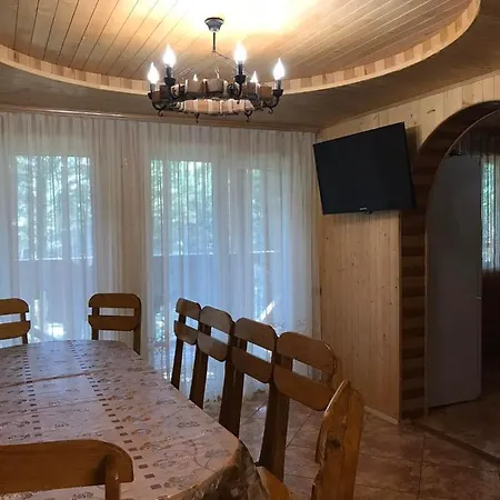 ялинка *