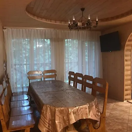 ялинка *