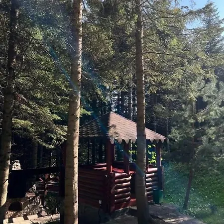 Holiday home ялинка *