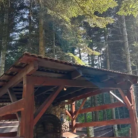 ялинка Holiday home Migovo