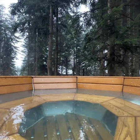 ялинка *
