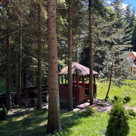 Будинок відпочинку ялинка *