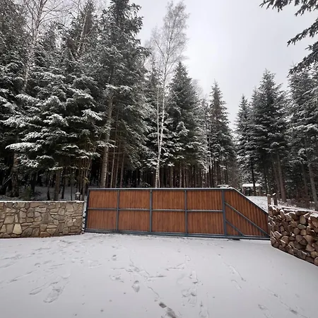 ялинка Будинок відпочинку