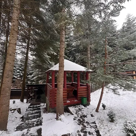 ялинка Будинок відпочинку Мигове