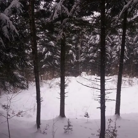 ялинка Holiday home Migovo