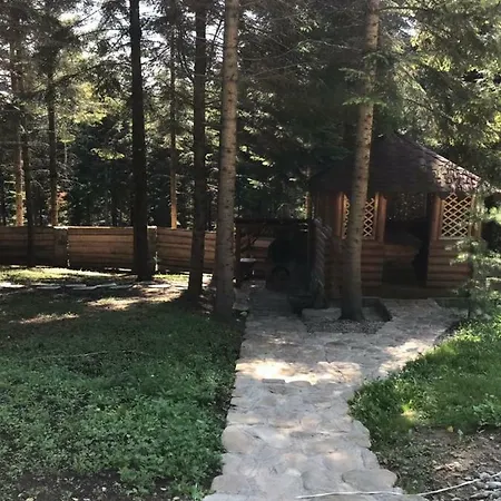 Holiday home ялинка *