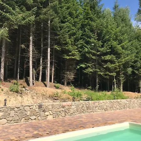 Holiday home ялинка *