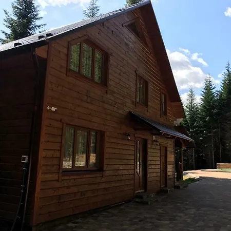 ялинка