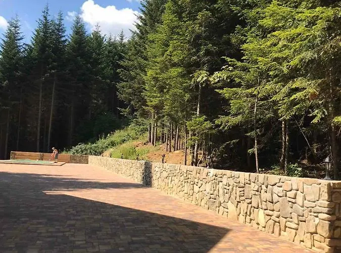 Tatil Evi ялинка