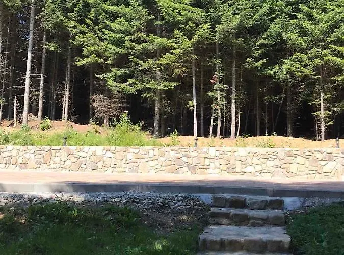 Tatil Evi ялинка Myhove