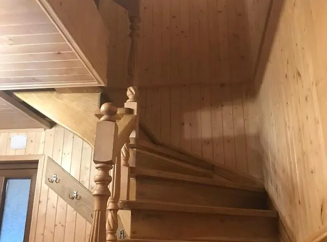ялинка *