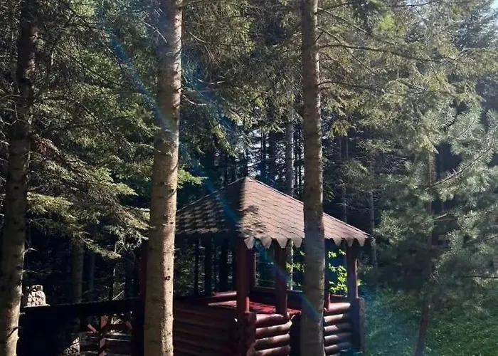 Tatil Evi ялинка *