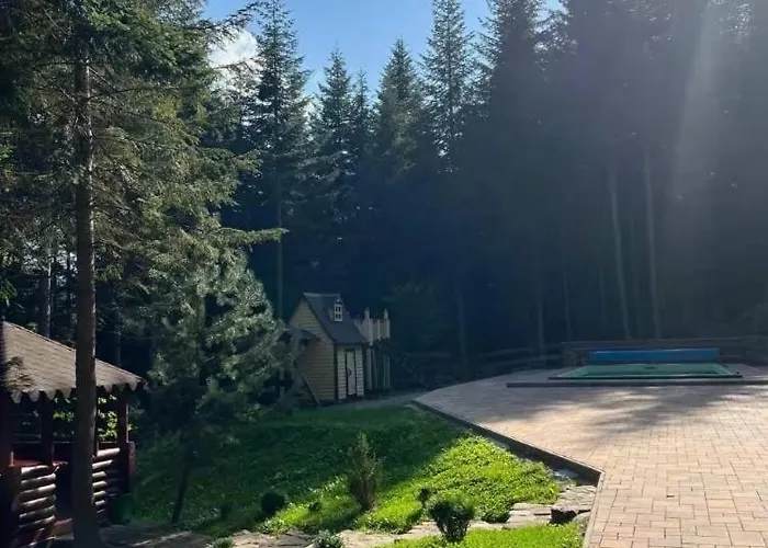 ялинка * Myhove