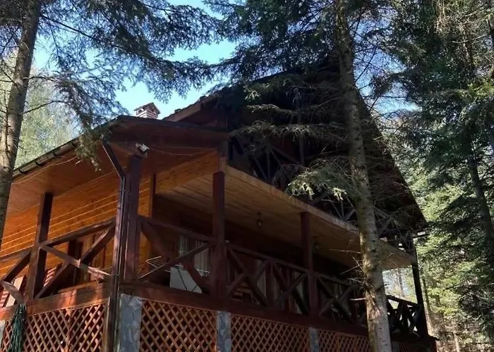 ялинка Tatil Evi
