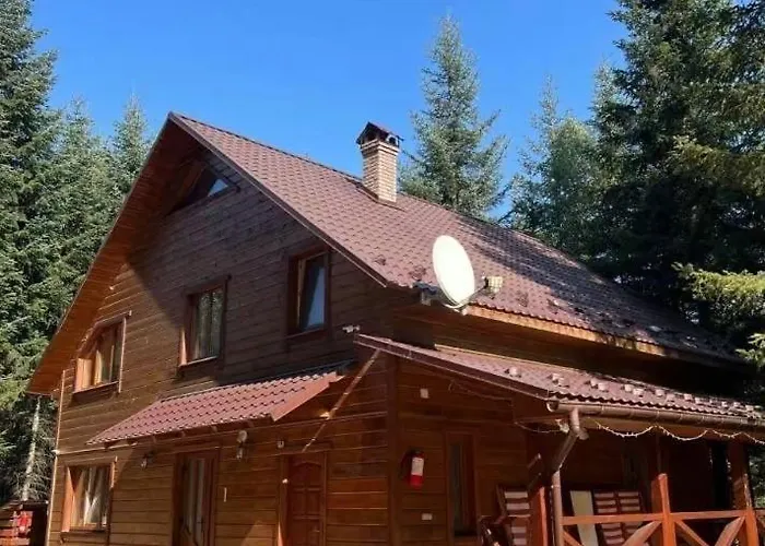Tatil Evi ялинка *