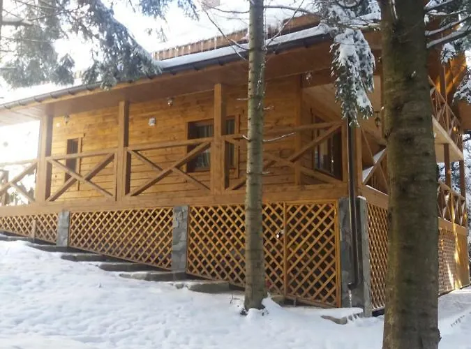 ялинка Tatil Evi Myhove
