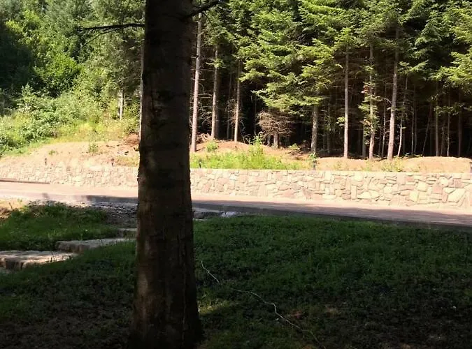 Tatil Evi ялинка Myhove