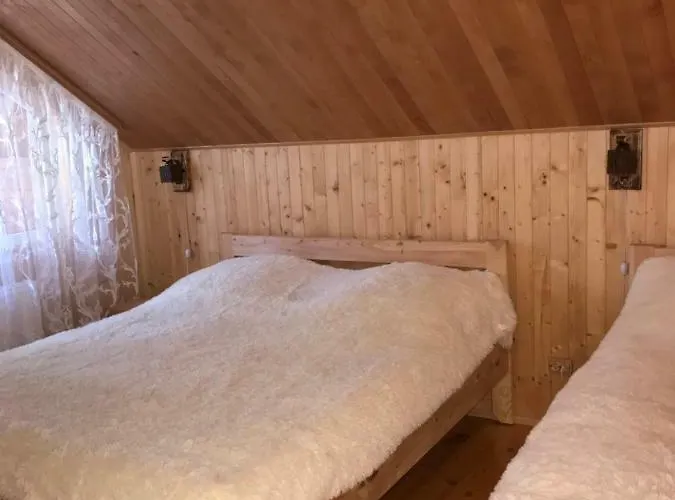 Tatil Evi ялинка Myhove