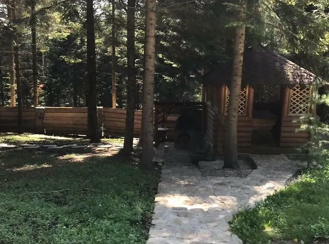 Tatil Evi ялинка *