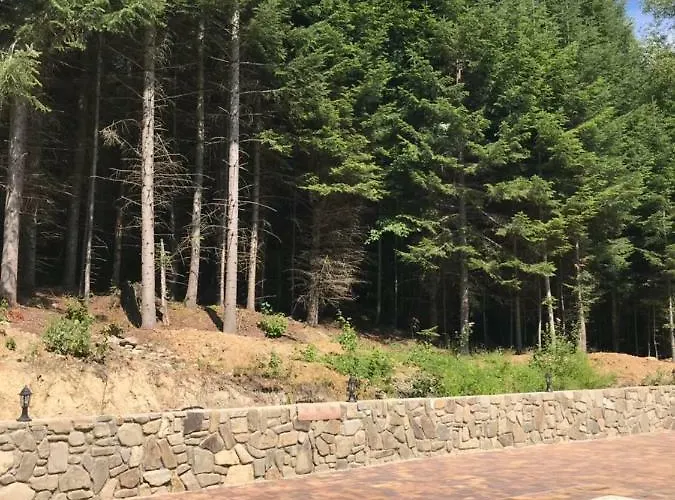 Tatil Evi ялинка *