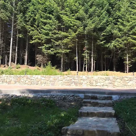Hébergement de vacances ялинка Myhove