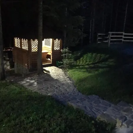 ялинка Myhove