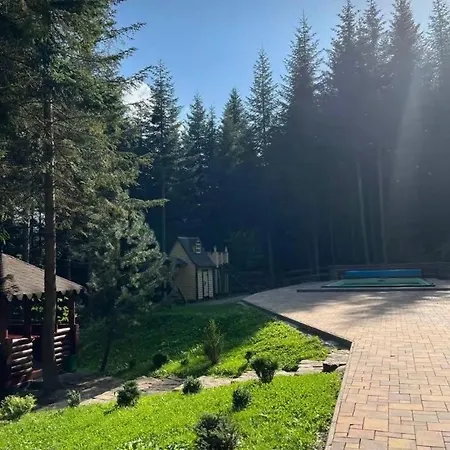 ялинка * Myhove