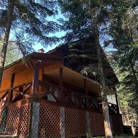 ялинка Hébergement de vacances