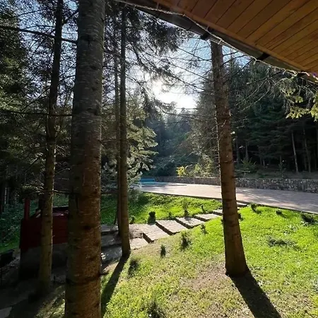 ялинка Hébergement de vacances *