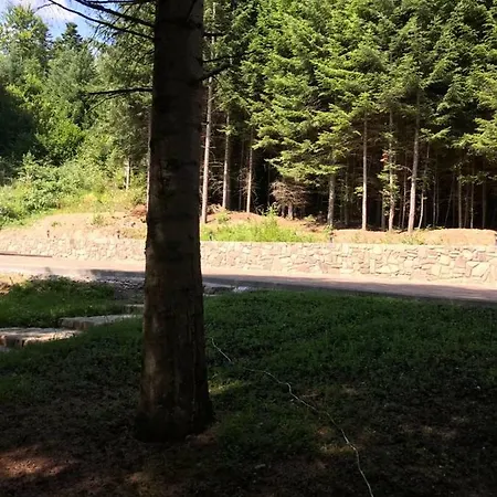 Hébergement de vacances ялинка Myhove